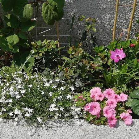 Vacational Lejlighed