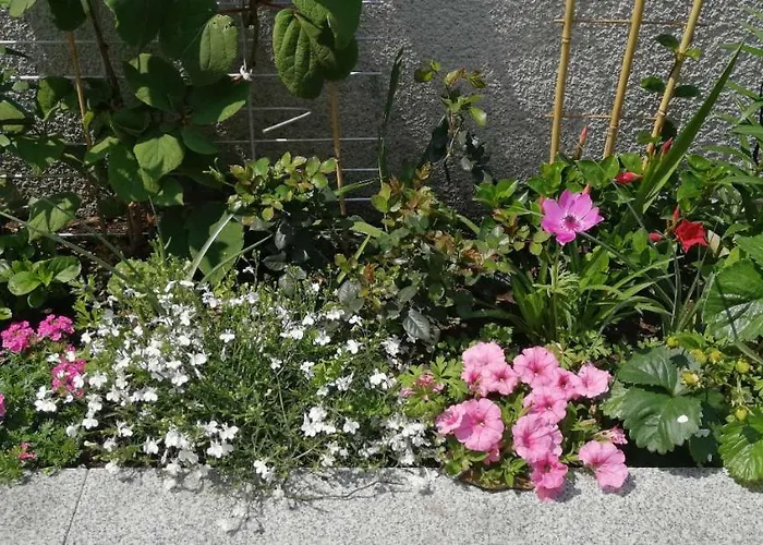 Vacational Lejlighed